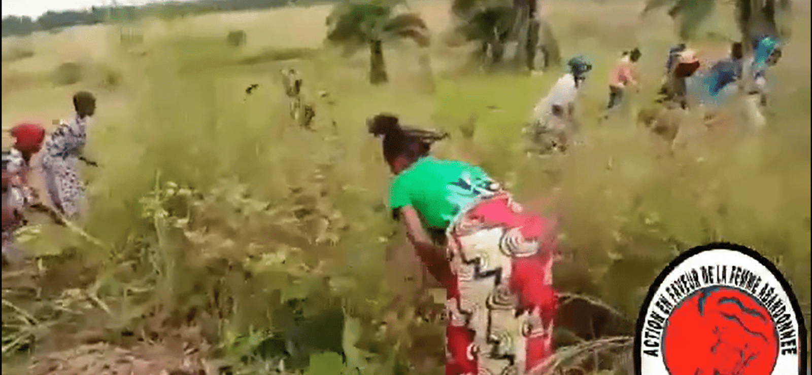 Screenshot 2025-03-26 0046